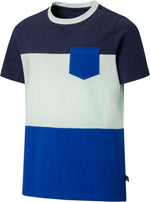 Ripzone Boys' Wolfe Colourblock T-Shirt - Blue