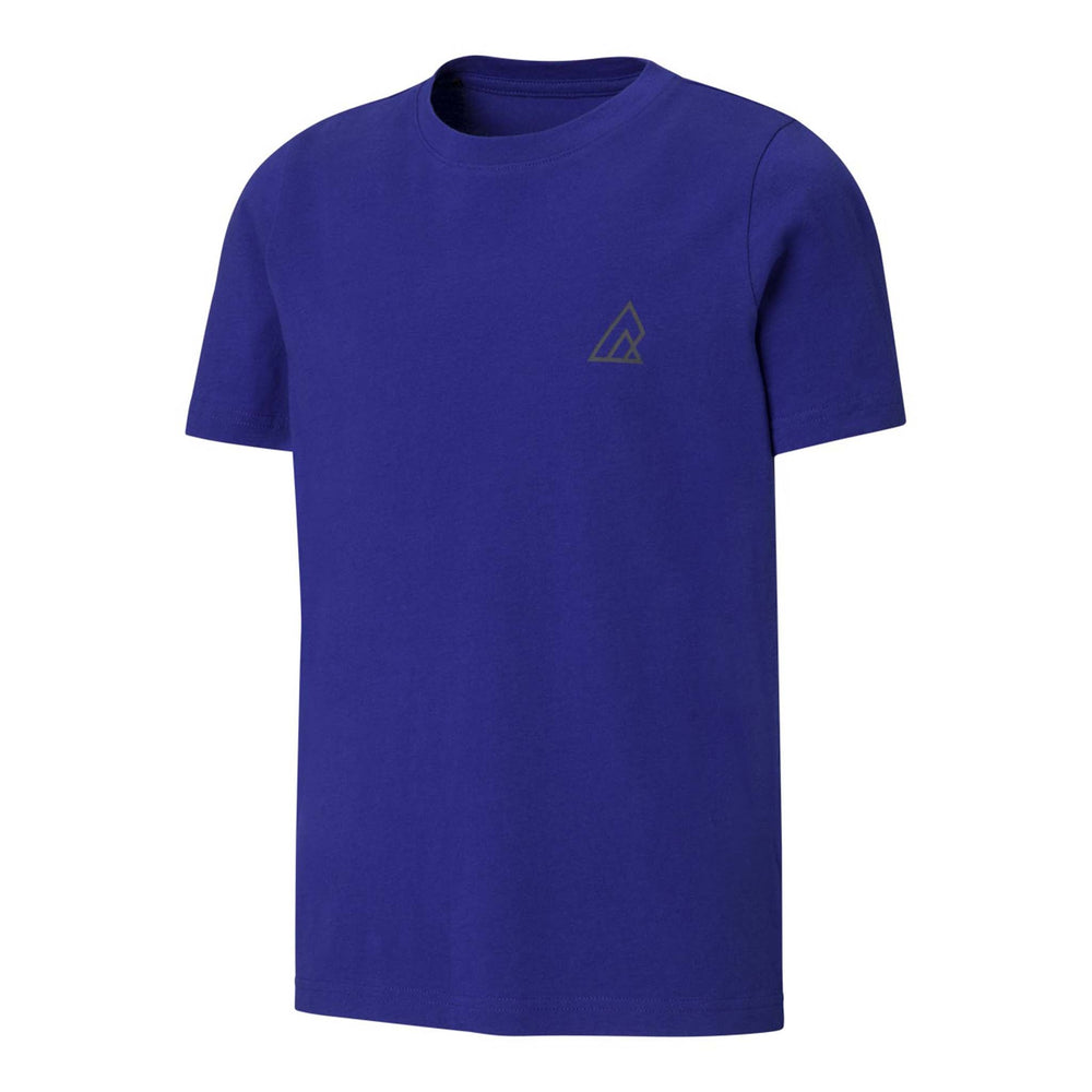 Ripzone Boys' Kingcome Short Sleeve T-Shirt - Blue