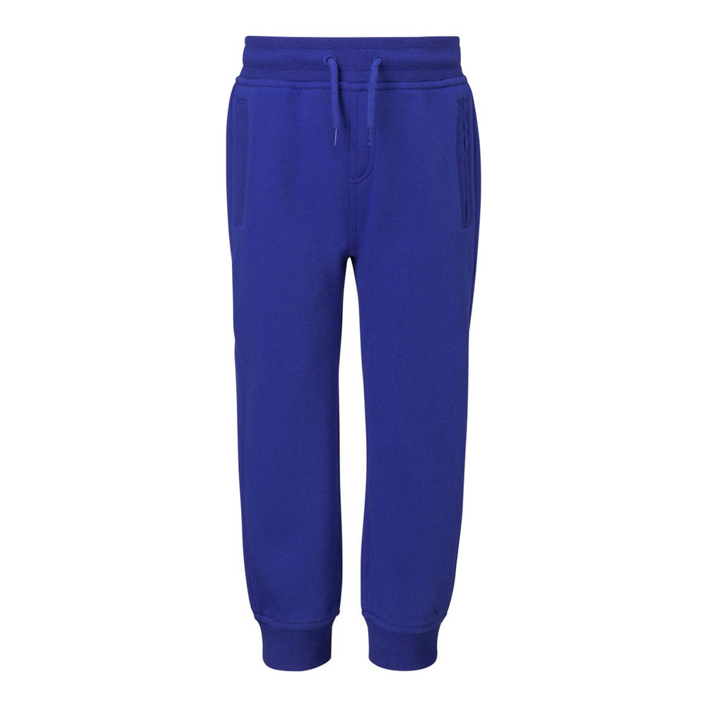 
            
                Load image into Gallery viewer, Ripzone Toddler Boys&amp;#39; Roe Jr Sweatpant - Blue
            
        
